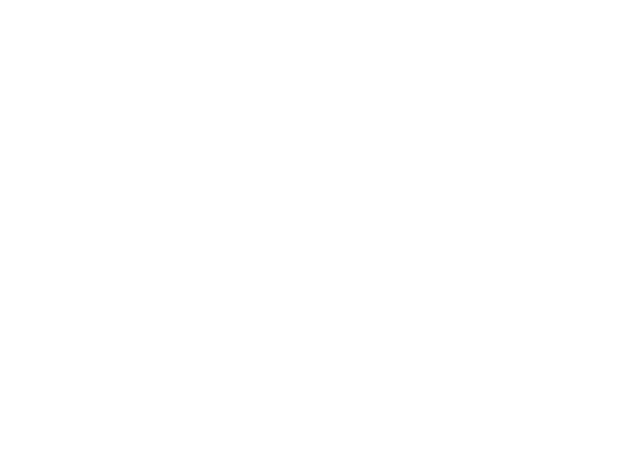 Art Brut Biennale